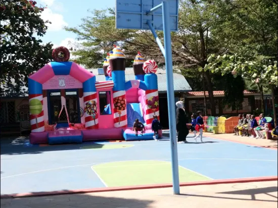 Inflável Bouncy Combo Slide Jumping Castle Blower para venda